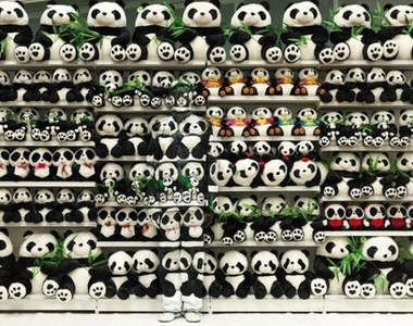 『偽裝藝術』趴兔!快點找找看我在哪吧~(躲)