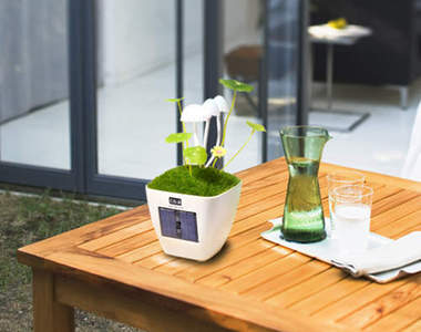 《七彩蘑菇燈》~好夢幻的療癒小物★