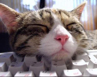 韓國鍵盤ㅋ的命運~下場怎麼這麼慘@_@