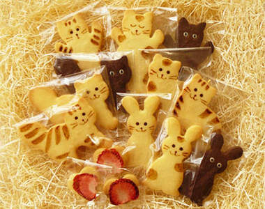 超可愛的手工《貓餅乾》～☆