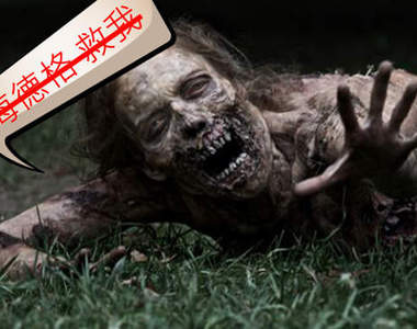 不死系大對決 蟑螂跟殭屍到底誰比較難殺呢?