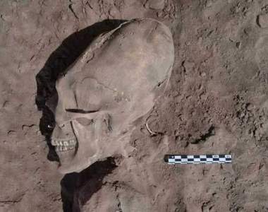 《異形頭骨》墨西哥發現拉長頭骨墳墓堆