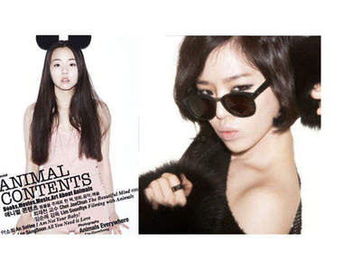 超有人氣的《單眼皮韓女星》都有誰呢？！