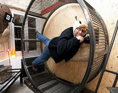 《哈姆太郎飯店》住在可以跑圈的房間裡