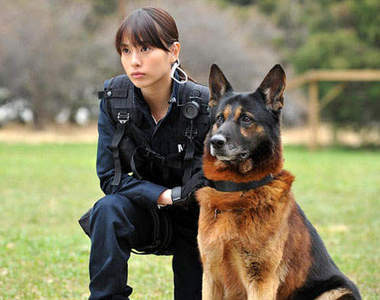 《DOG×POLICE》警察與警犬的羈絆是很深的~