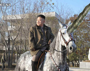 獨角獸巢穴　北韓發現傳說中的生物！？　