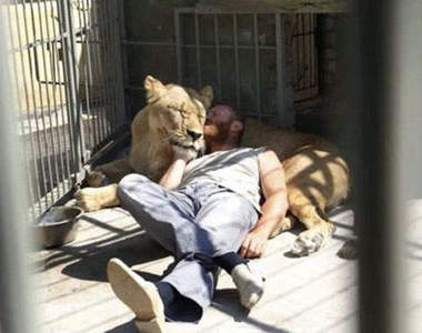 和獅子同居35天的男子(驚)