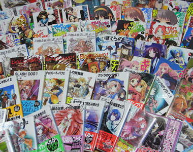 這樣的輕小說...不會太輕了嗎？