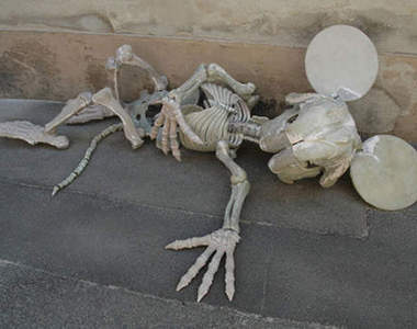 《米奇身體裡的秘密》原來玩偶裝裡面沒有人！？