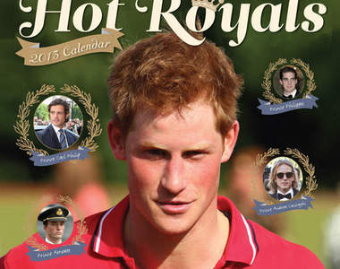 《2013皇室帥哥》月曆 每月都有不同王子陪伴 ~