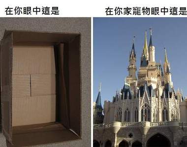 你所看到的...不一定就是動物所看到的