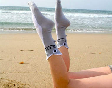 《鯊魚襪》啊～我的腳被鯊魚吃掉了～