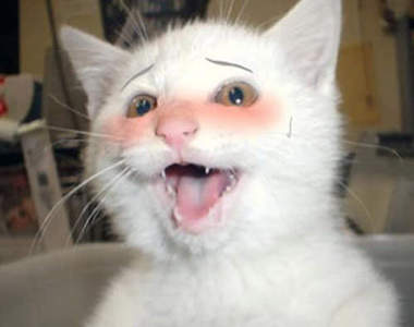 夜深了你醉了嗎?請先服下這款酒測App再上吧!