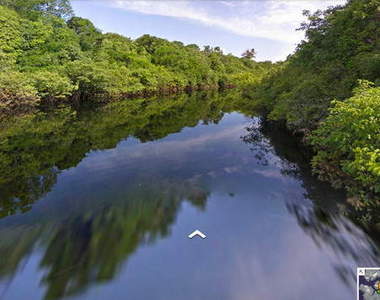 還等什麼各位!一起跟Google到「亞馬遜」探險啦!