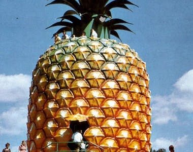 大菠蘿三斤...你們懂的！(≖‿ゝ≖)✧