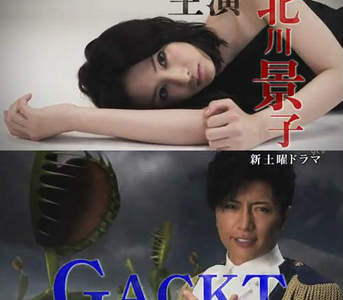 木村真那月 宅宅新聞
