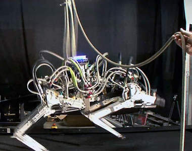 令人嘆為觀止的機動性  機器獵豹在健身房運動(誤)