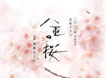 2013年NHK大河劇《八重之櫻》第一波主演名單發表! 2013年NHK大河劇《八重之櫻》第一波主演名單發表!