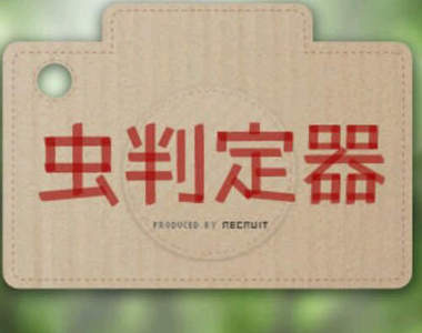 蟲蟲判定APP 把拍到的蟲放到手機相簿裡作成小百科吧!