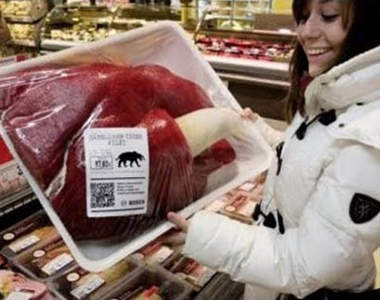 恐龍肉的味道　到底吃什麼東西的恐龍肉質最好吃呢？