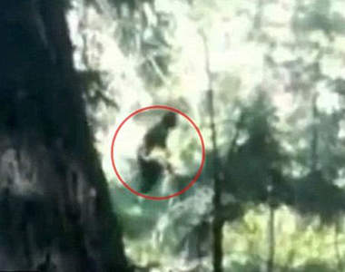 《大腳怪》再度現蹤?美高中生拍到奇怪身影