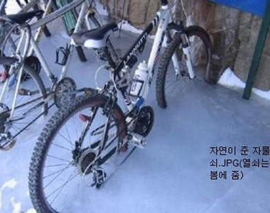 《雪國的苦惱》下雪好像也沒那麼浪漫了......