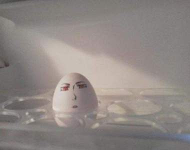 《冰箱奇物》日本網友約你一起來檢查家中冰箱裡有什麼妙東西www