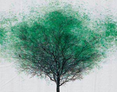 創意《環保廣告》~用你的腳步種出一棵樹