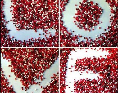 9/17《告白DAY》~你今天告白了沒?