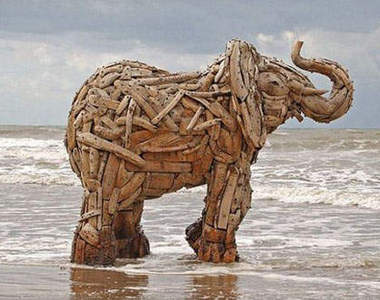 栩栩如生《木象》出沒在比利時海岸呦~