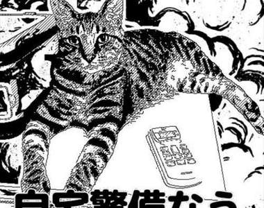 《漫畫相機 App》日本網友拍出存在感滿點的貓主題!