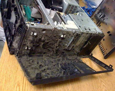 電腦《主機灰塵》也積的太厚了~