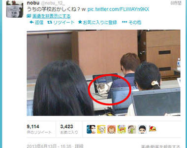 貓的大學？課堂上還有貓咪陪你一起聽課喵～(=^･^=) 