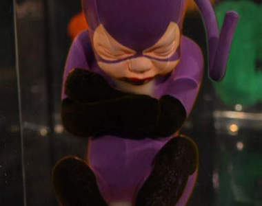 《娘胎中的英雄》原來在肚子裡的時候長這樣～