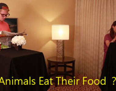 《動物都怎麼吃食物的》趴兔 這到底在演什麼啦XD