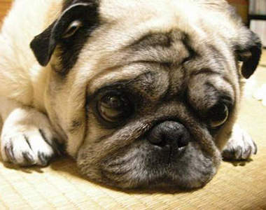 喂!現在的你《到底在煩惱什麼呢?》快點來看看~