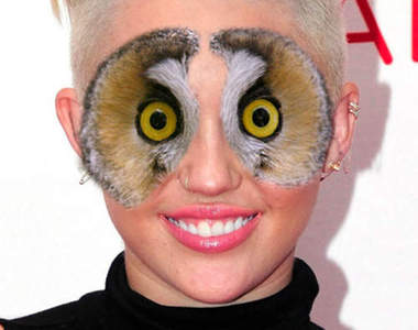 《明星與貓頭鷹眼》感覺似乎好像沒甚麼違和感~XD