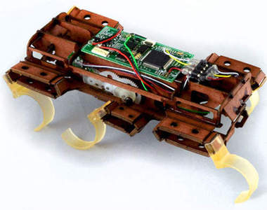 微型蟑螂機器人　跑起來比真的小強還要快~(咻)