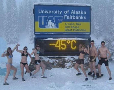 《阿拉斯加的日常》難道他們也可媲美戰鬥民族？！