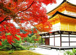 《2013日本必訪觀光景點》外國人大推薦TOP5 《2013日本必訪觀光景點》外國人大推薦TOP5