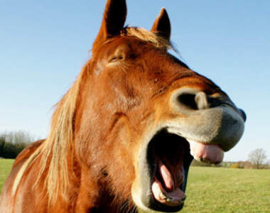 《一大笑就破功》對白馬王子的幻想瞬間毀滅