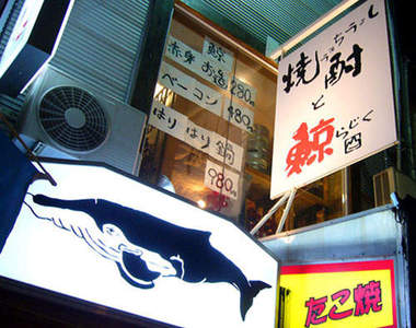 《日本愛吃鯨魚肉》卡友們吃得下去嗎？