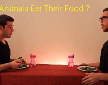 真人版《動物都怎麼吃食物的》....你確定是在學動物嗎?