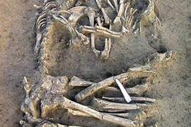 死了都要愛《情人X光片》至死不渝的愛情藝術 死了都要愛《情人X光片》至死不渝的愛情藝術