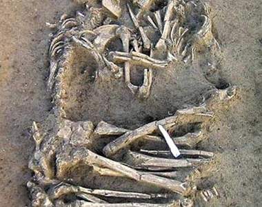 死了都要愛《情人Ｘ光片》至死不渝的愛情藝術