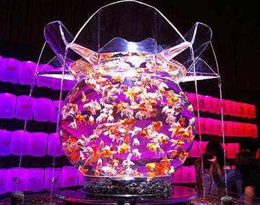 超華麗《5000隻金魚亂舞》不看後悔的日本展覽