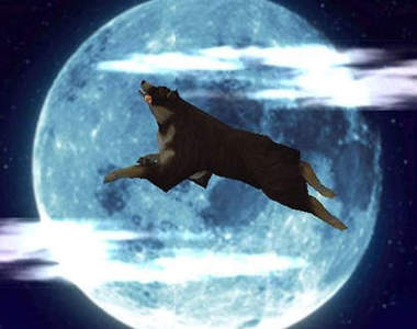 《遊戲界最忠實的狗兒朋友》人類&忠犬合作無間