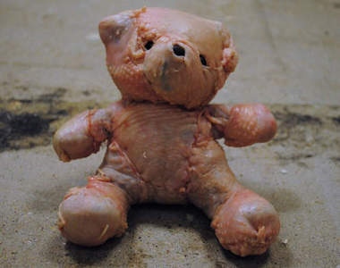 噁心《泰迪熊烤雞餐》還真是奇特的聖誕節大餐啊(汗)