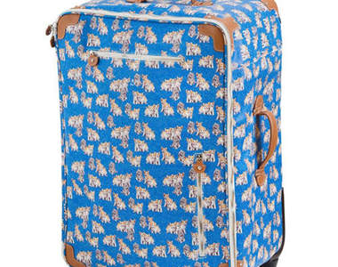 PAUL&JOE貓咪系列又來~×Jack Russell Malletier聯名登場