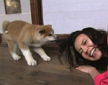 28個《想跟你當朋友的動物》只是方法......好像暴力了點⊙_⊙?